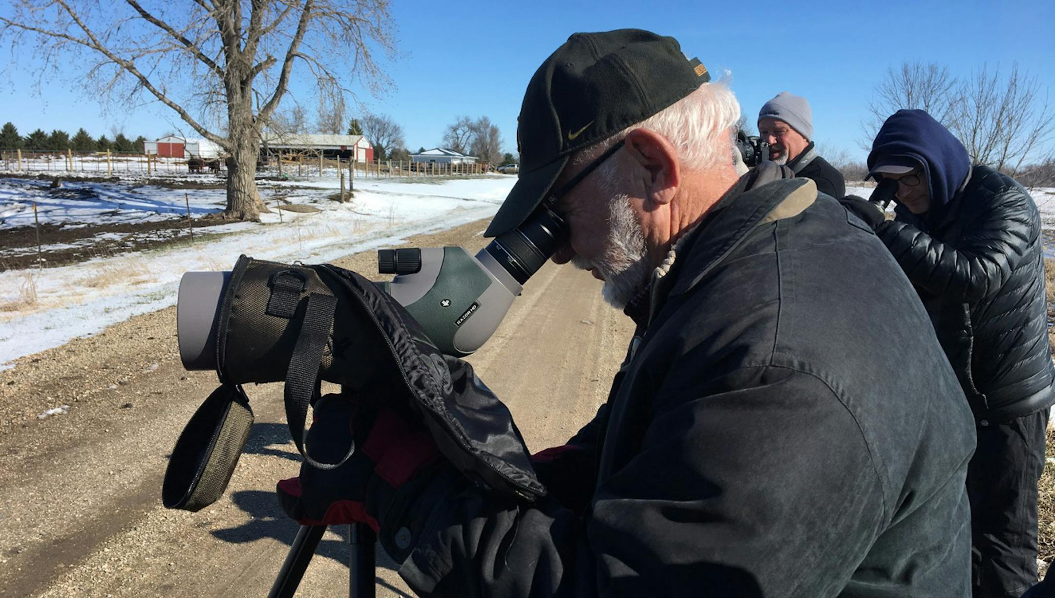 Bob Janssen spotted an American avocet in a flooded field.