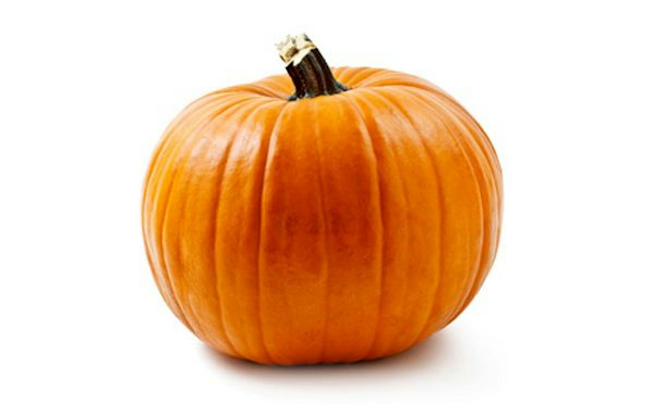 Pumpkins and gourds will be on display at the arboretum.