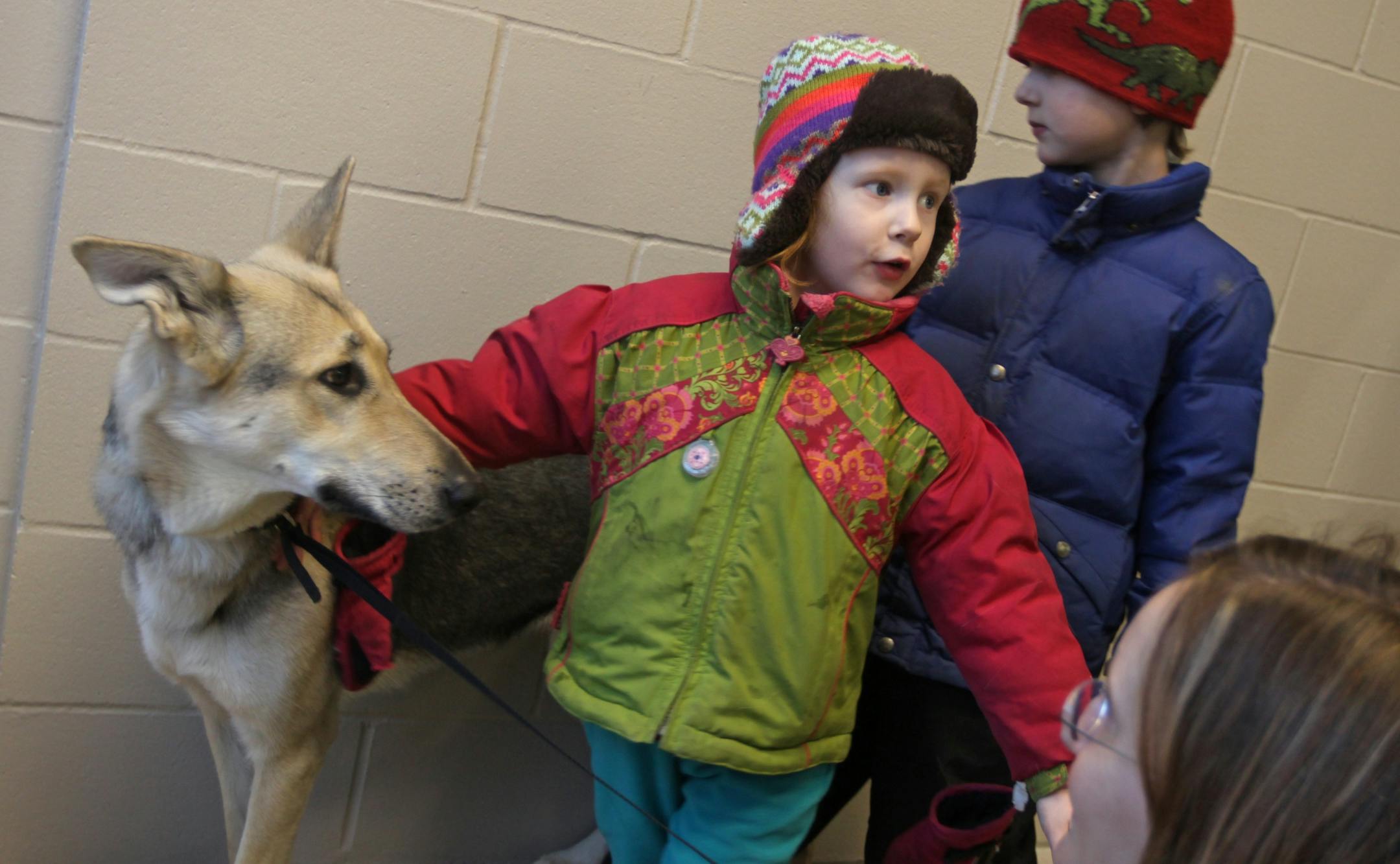 Karenna Gallagher, 4, Cal Gallagher, 6 and their mother, Priscilla Rygh of Minneapolis met with a dog that was available for adoption at the Minneapolis Animal Care and Control Center on Wednesday.