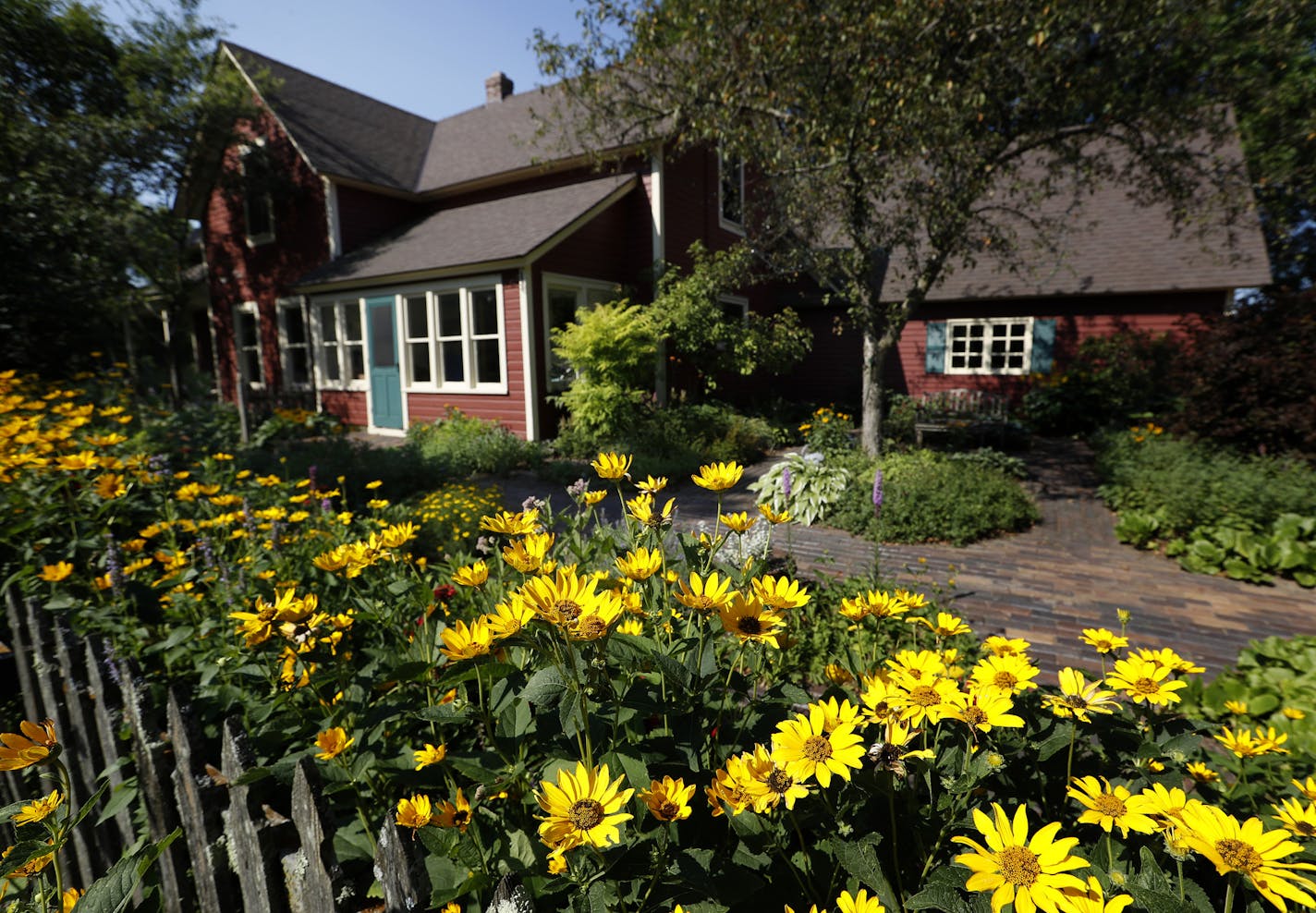 Native plants that provide habitat for pollinators and other wildlife are the backbone of Steiner's garden.