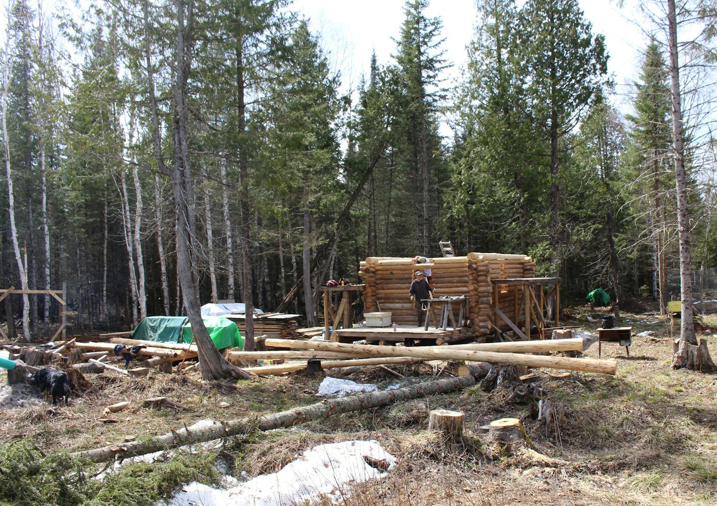 As Micah and Christine hone their cabin-building skills, this workshop is a &#xec;practice structure&#xee; before constructing their primary home cabin.