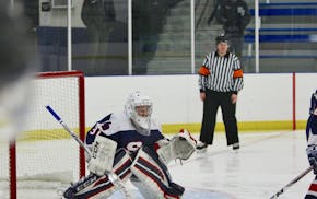 In six games (all victories), St. Francis/North Branch goalie Rachel Miller has posted four shutouts and a .979 save percentage (188 saves out of 192 