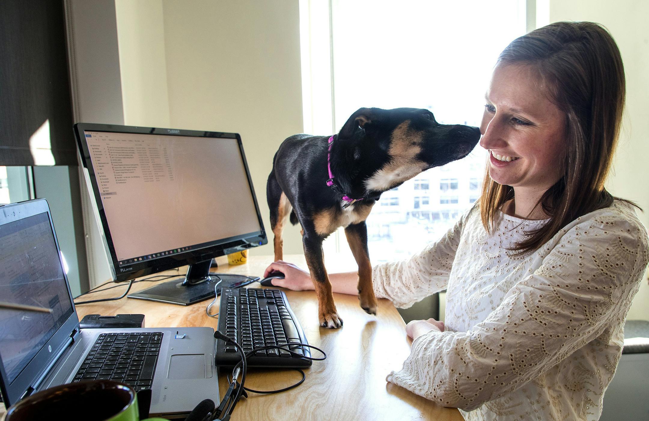 Brittany Stanton, a Minnesota native who moved to Seattle last year for a job at Amazon, works on the company's sustainability team, managing the effort to place solar panels on top of Amazon warehouse buildings. Stanton shares her workspace with her dog, Rexi. (Mike Siegel/Seattle Times/TNS)
