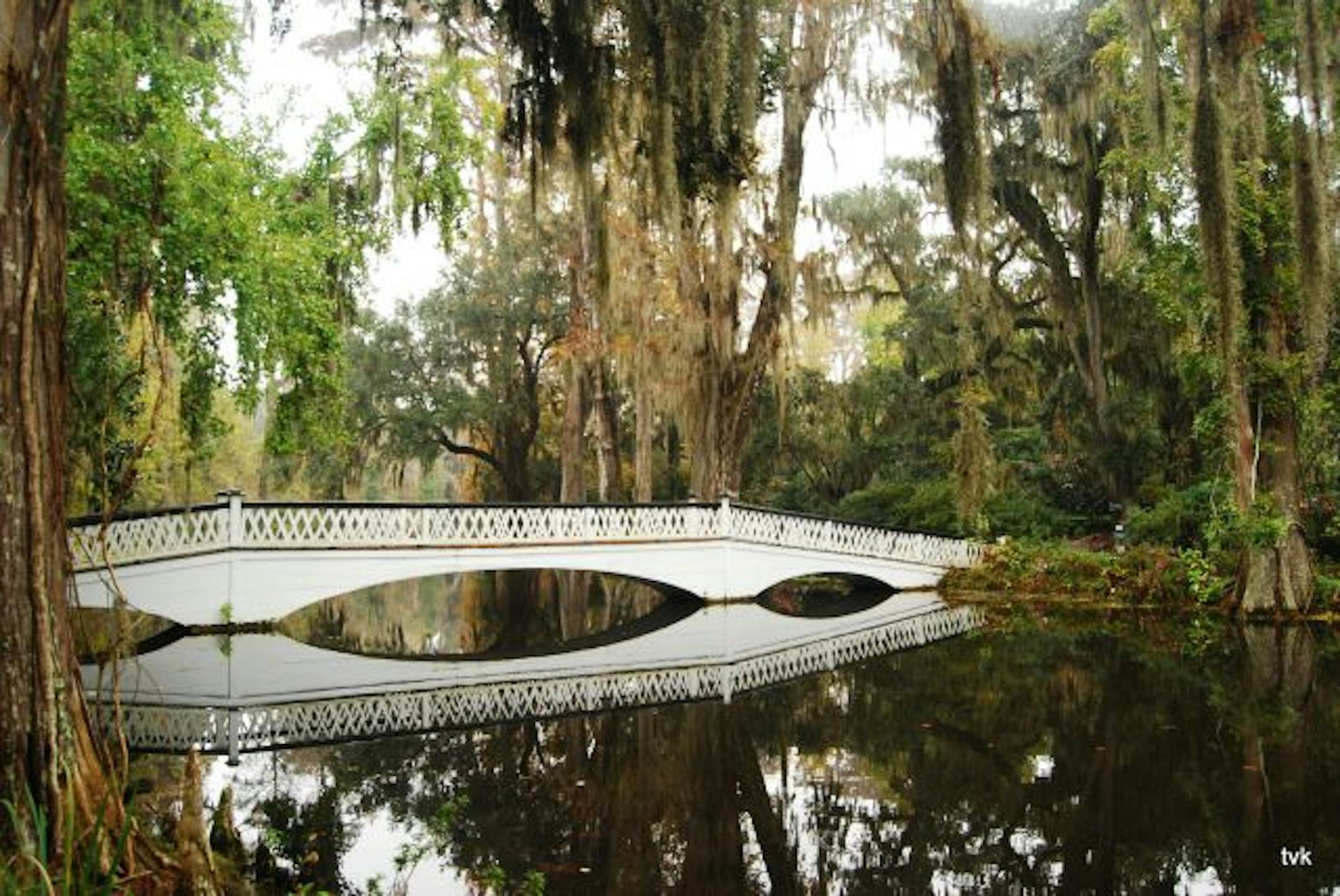 The photographer: Tracy Knighton of Coon Rapids. The scene: Still waters make a near-perfect mirror at the Magnolia Gardens and Plantation in Charleston, S.C. Knighton had the place almost to herself on the misty day she visited. "Walking through the garden, you could smell the flowers before you could see them. It was very peaceful," she wrote in an e-mail. "In Charleston you can spend the morning in a garden like this, then drive less than an hour and be at the ocean." Tracy Knightontracyvkn@