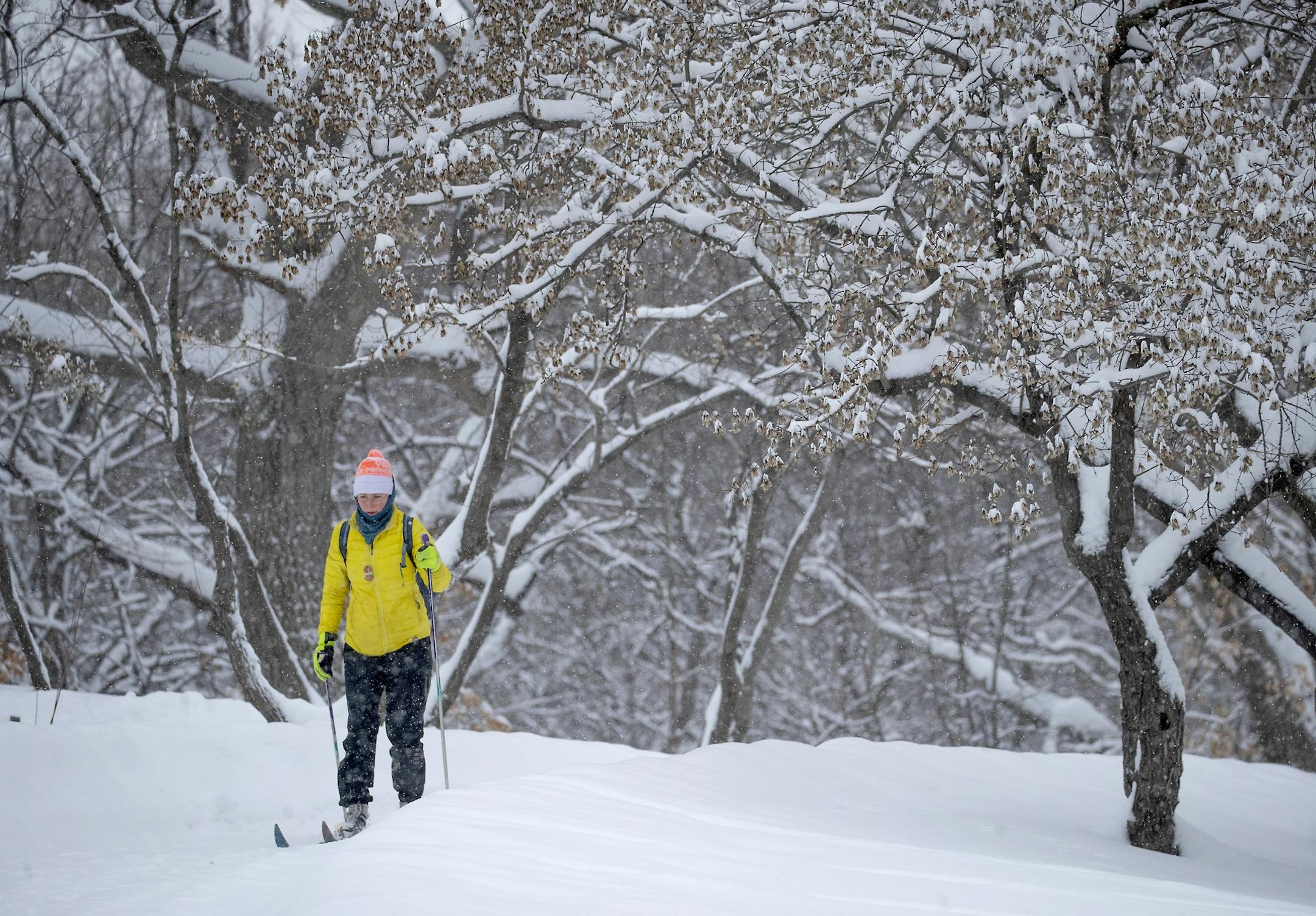 Jenna Nagle opted for cross-country skis for transportation as she made her way to work to the St. Paul Seminary near Mississippi River Blvd., Tuesday, February 12, 2019 in St. Paul, MN.