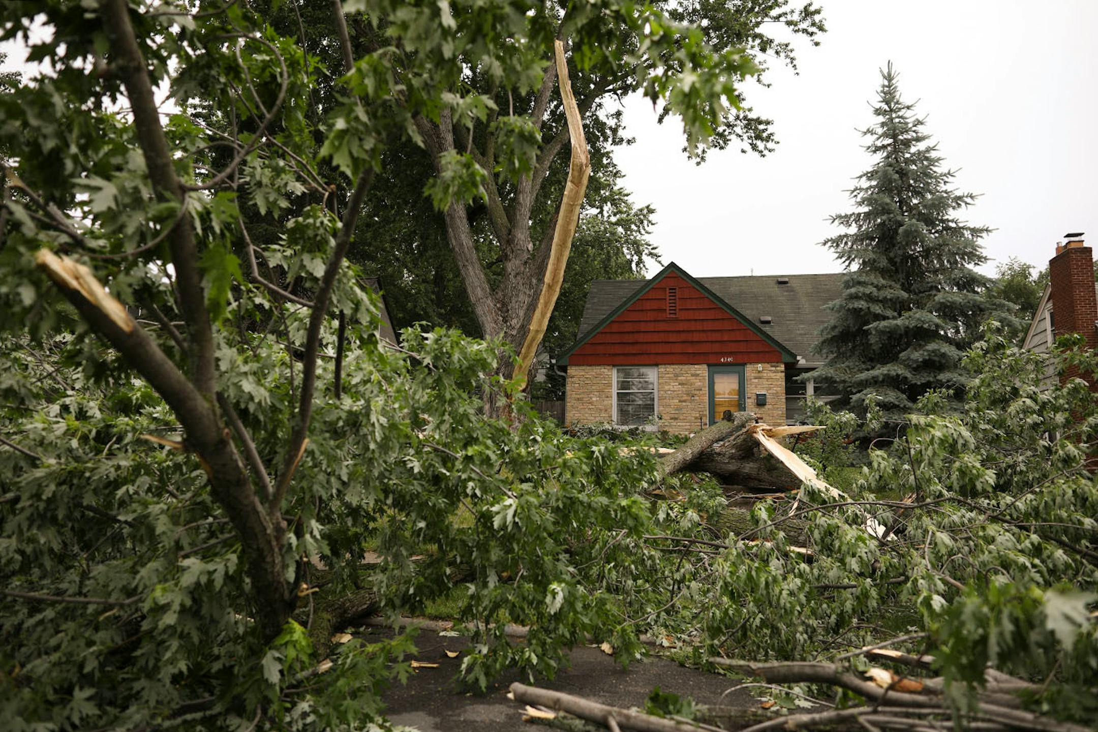 Part of a tree came down in front of a house was partially blocking 16th Ave. S. in Minneapolis Sunday afternoon.