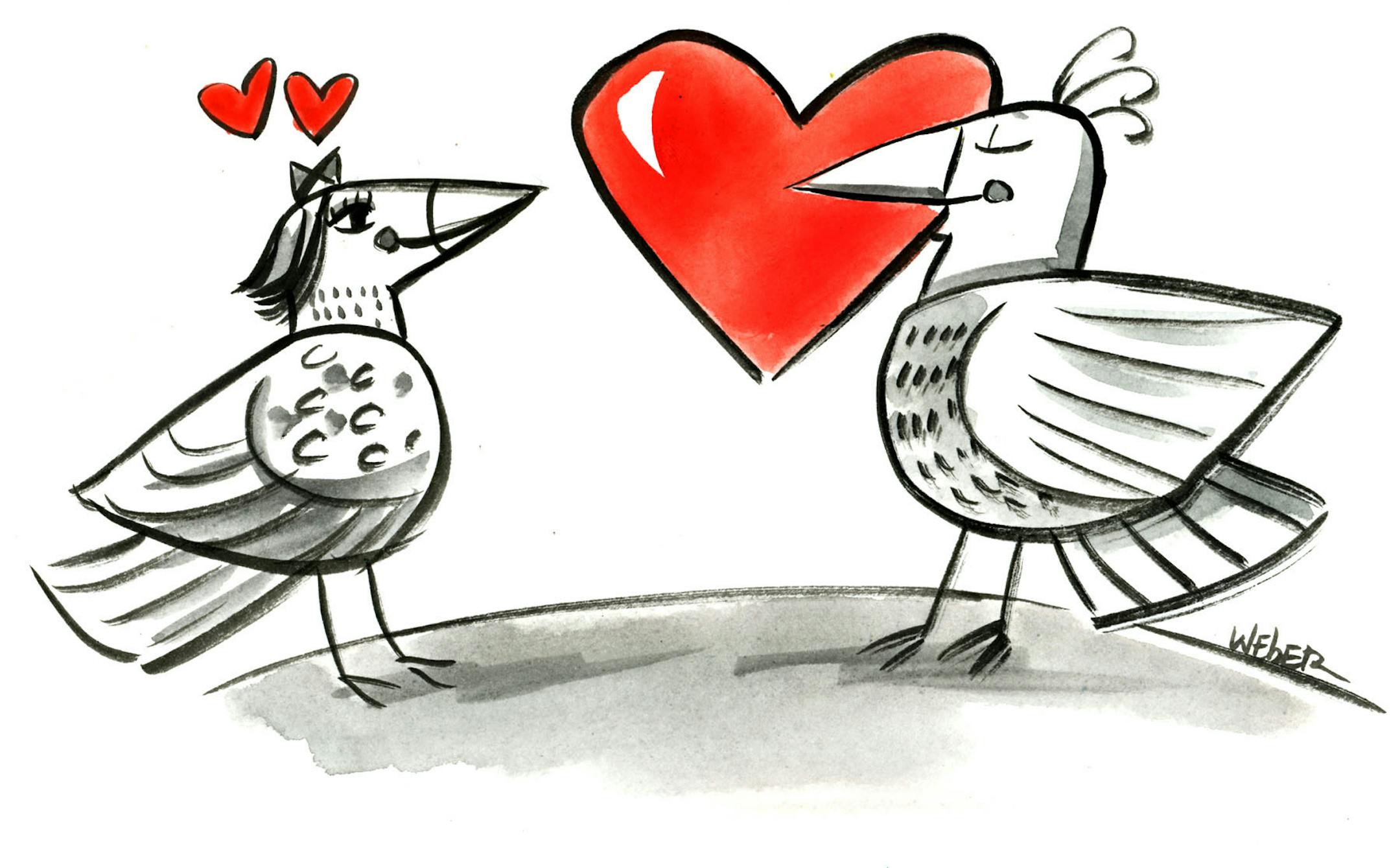 Illustration: Lovebirds.