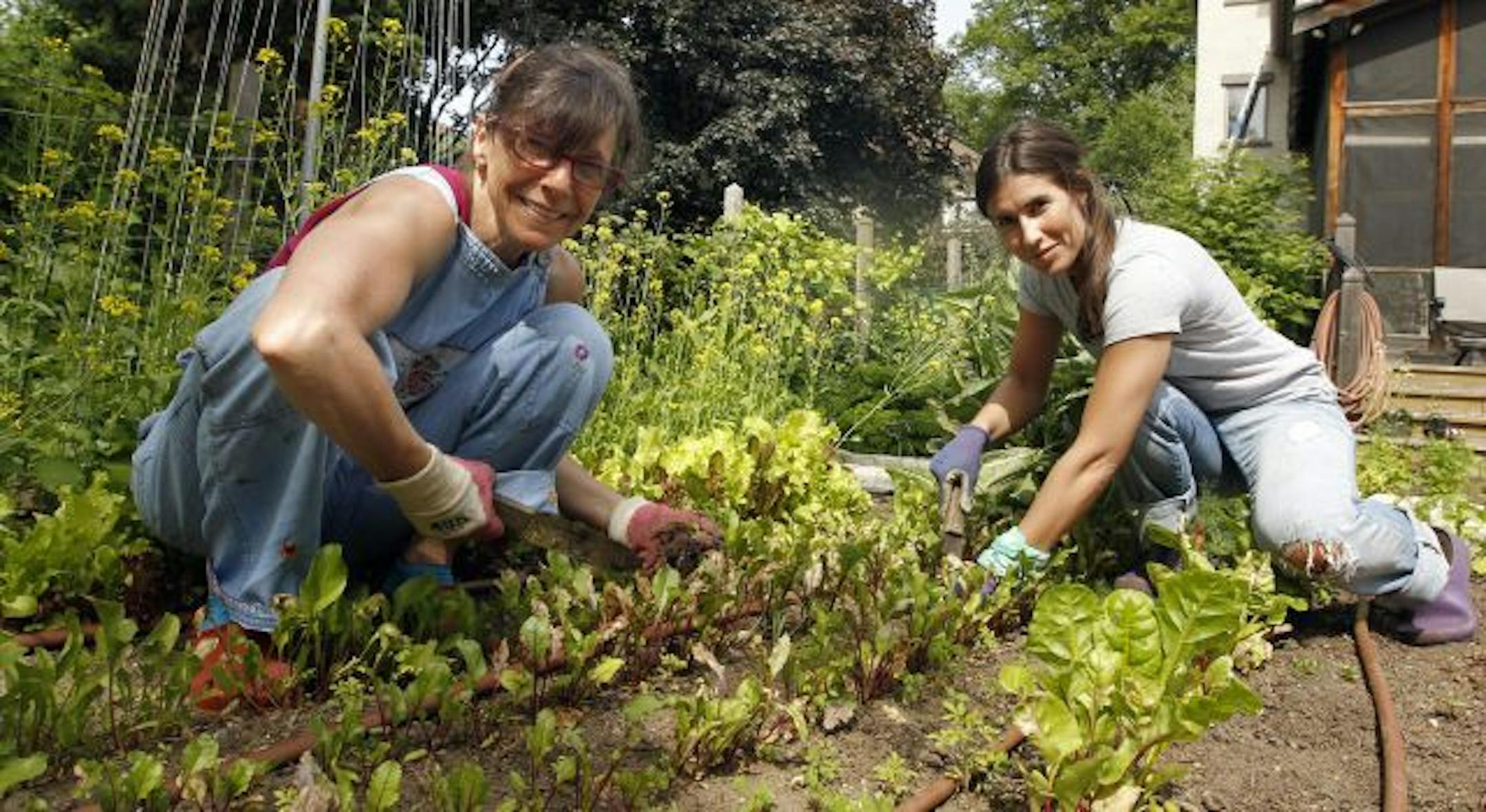 Claudia Dengler and Kelly Gaspar found each other through a website that links people with spare acreage and those looking for a place to learn how to garden.