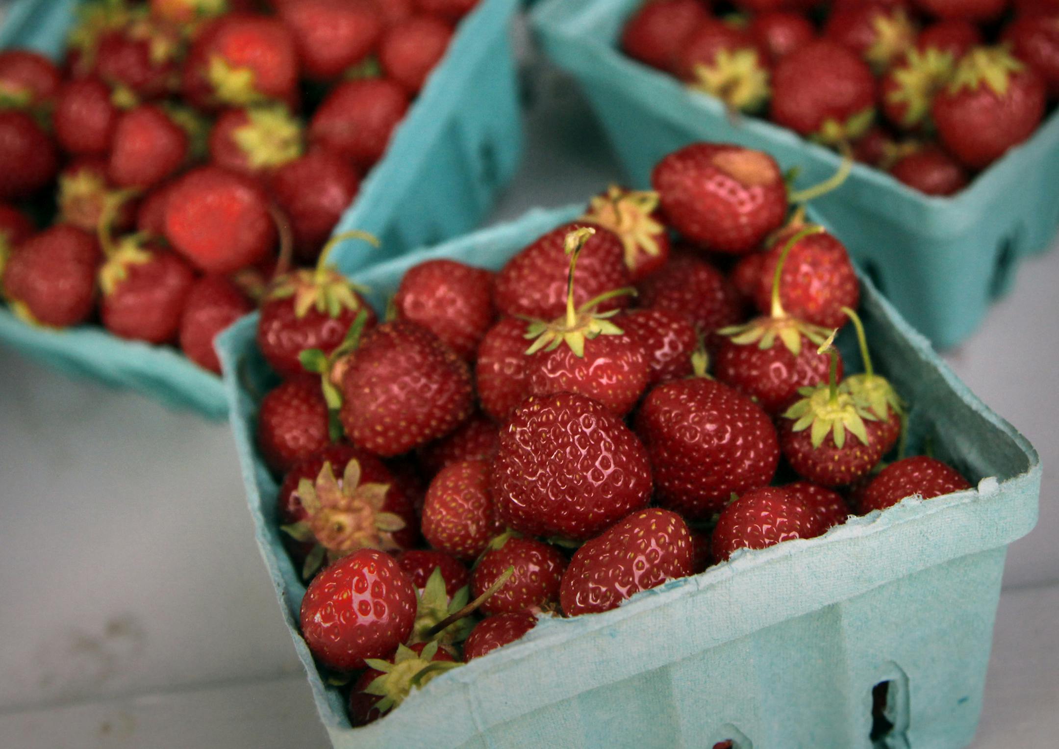 TOM WALLACE • twallace@startribune.com Assignment #20013165A Slug: southshore071510 Date: July 6, 2010 _ Taste’s annual visit to the Lake Superior for the feature on using the south shore regions flavors. From all the roadside stands to the finest restaurants in the area. Fresh strawberries and Raspberries were hot the wild rice soup, a standard, and the whitefish and lake trout as fresh as it can get. We covered the south shore area from Bayfield, to Ashland with a stop in Washbur