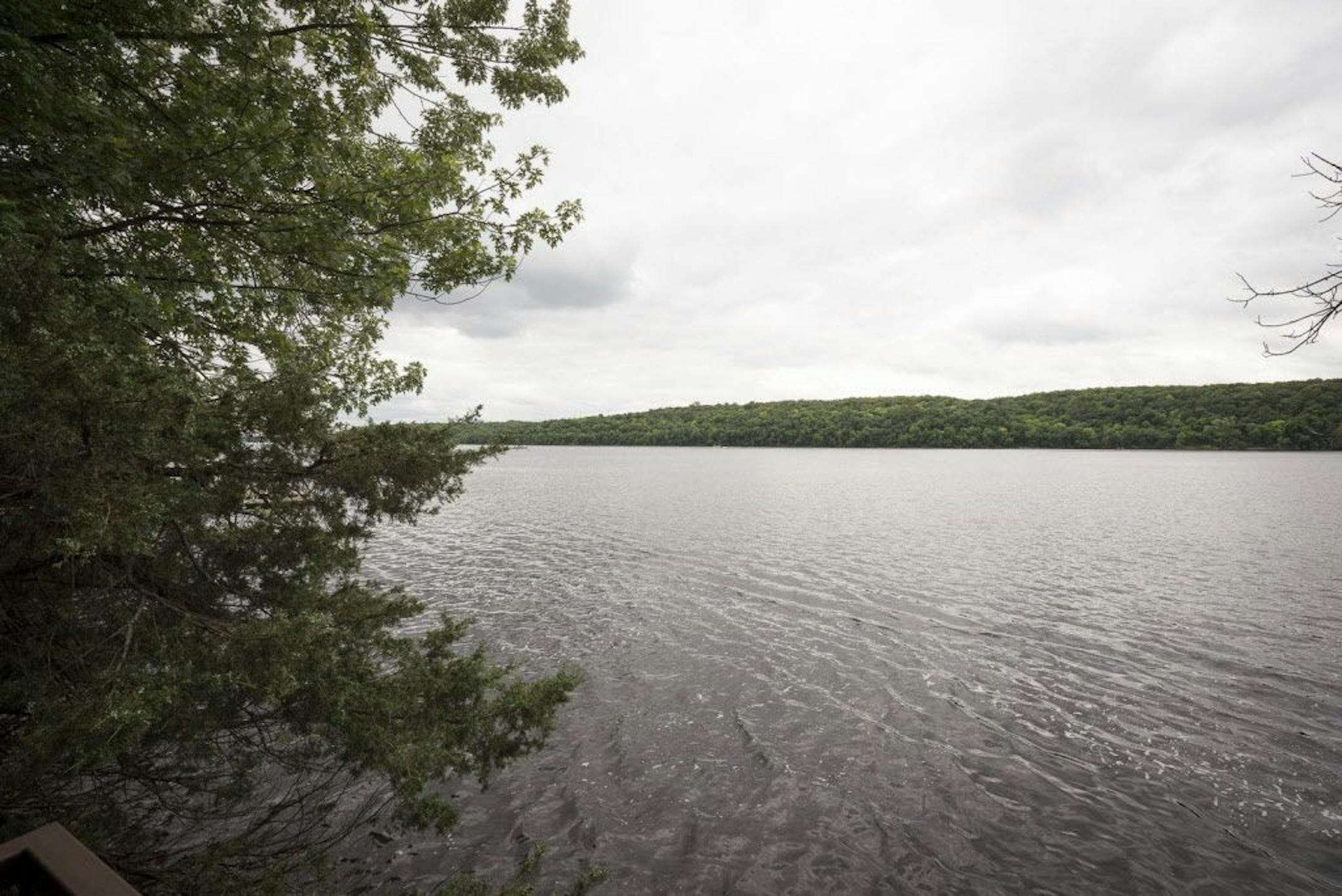 View of the river and a regional park on the other side.
