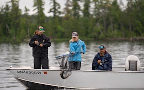 Jessica Berg-Collman nets a walleye caught by Kayden Gausman while guiding for him and his dad, Keith, on Saganaga Lake on June 16, 2024.