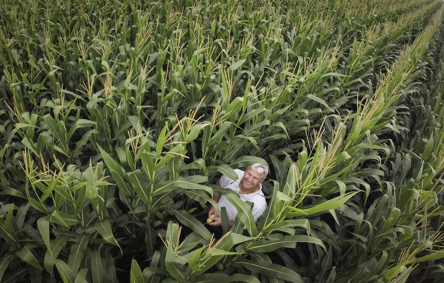 Gary Schrad stood in one of his corn fields on the outside of Albert Lea, Minn., on Tuesday, August 19, 2014. Schrad farms 3,500 acres. ] RENEE JONES SCHNEIDER &#x2022; reneejones@startribune.com