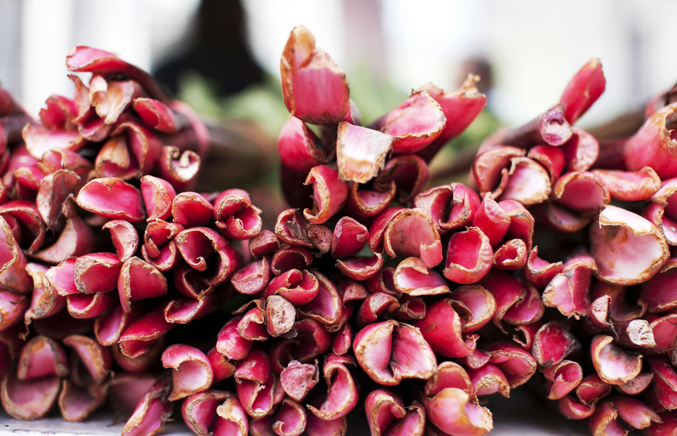 Rhubarb season is highly anticipated by many.