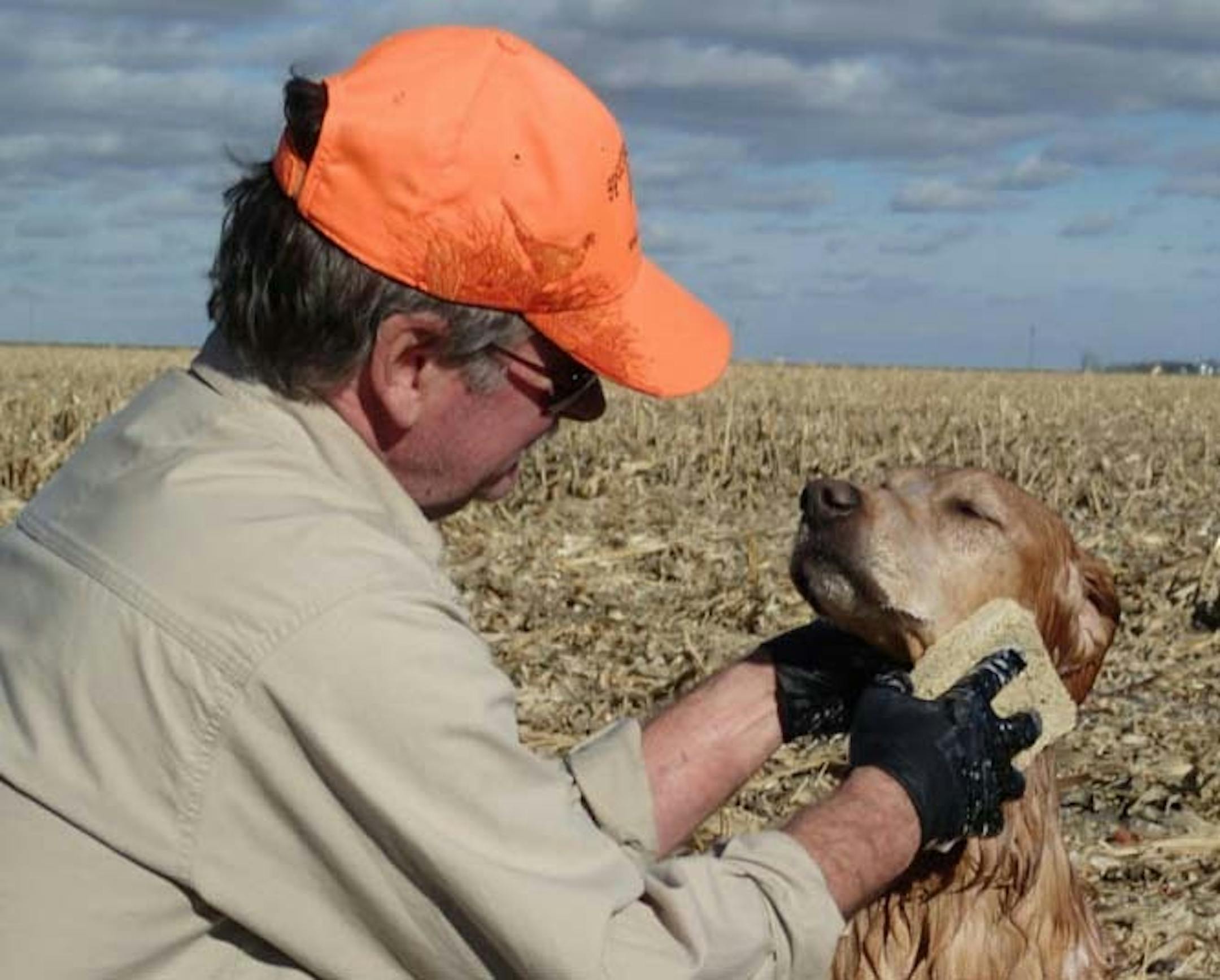 Mike Porter of Minneapolis bathes his golden retriever, Bo, with a solution of hydrogen peroxide, baking soda and detergent to try to rid the dog of skunk odor after an encounter with a skunk last fall in South Dakota. It was Bo's seventh encounter with a skunk.