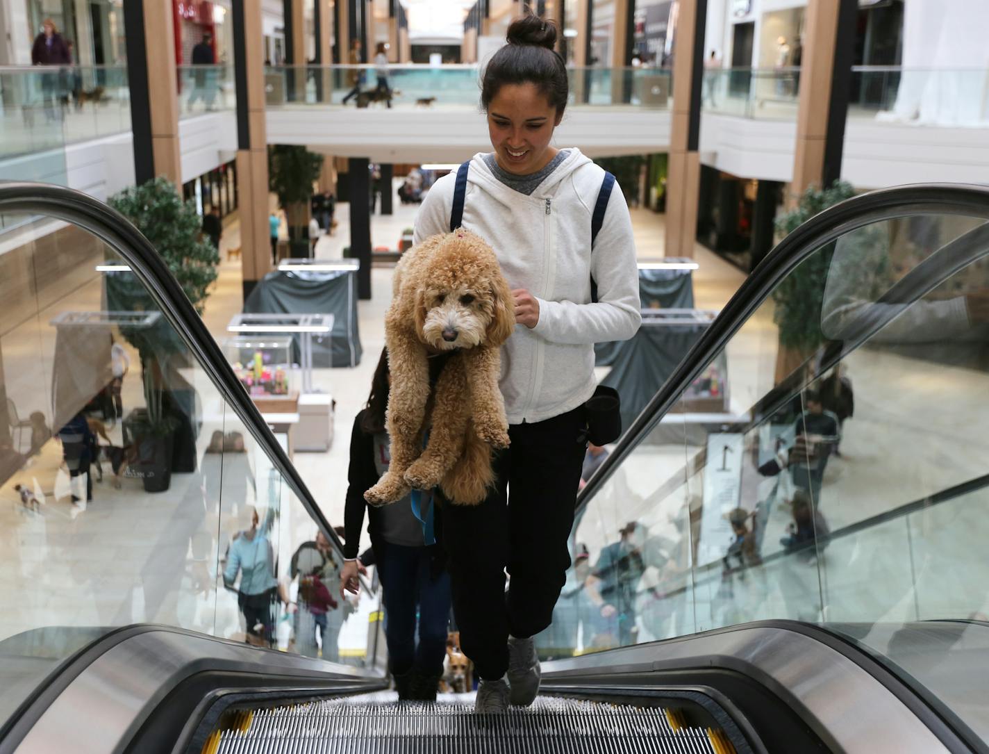 Jackie Lutes carries her one-year-old golden doodle, Porter, up the escalator during the indoor dog-walking hours on Sunday, March 24, 2018 at Rosedale Shopping Center in Roseville, Minn. In past weeks, some dogs became scared of the moving escalators, so this week they were shut off. [Ellen Schmidt &#xa5; ellen.schmidt@startribune.com