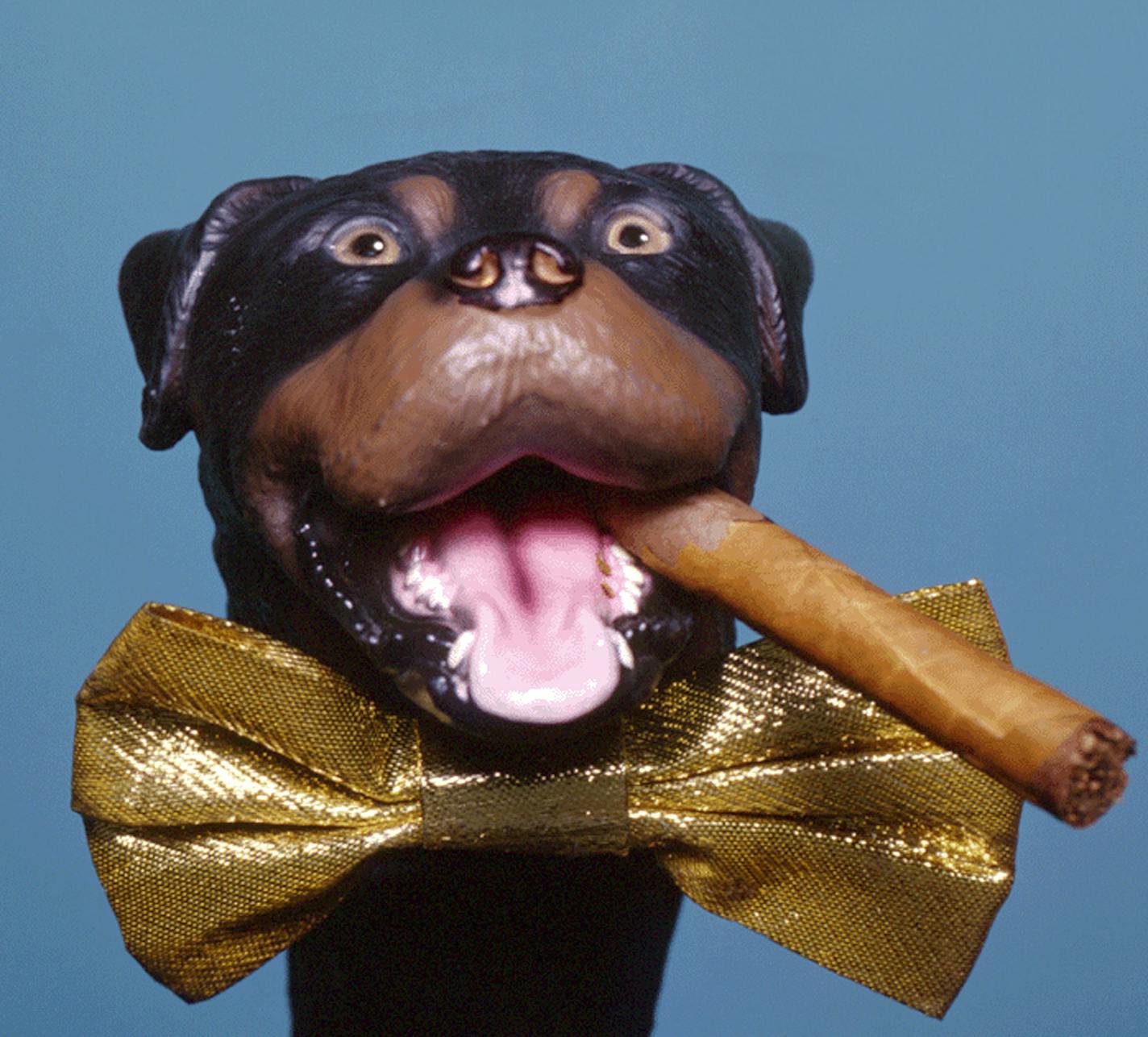 **FILE**This undated file photo originally supplied by NBC shows Triumph the Insult Comic Dog, is the first toy Rottweiler adopted into the Las Vegas police department's K-9 unit. The honor was bestowed at the weeklong Comedy Festival that kicked off Tuesday, Nov. 14, 2006. (AP Photo/NBC) ORG XMIT: NYET100