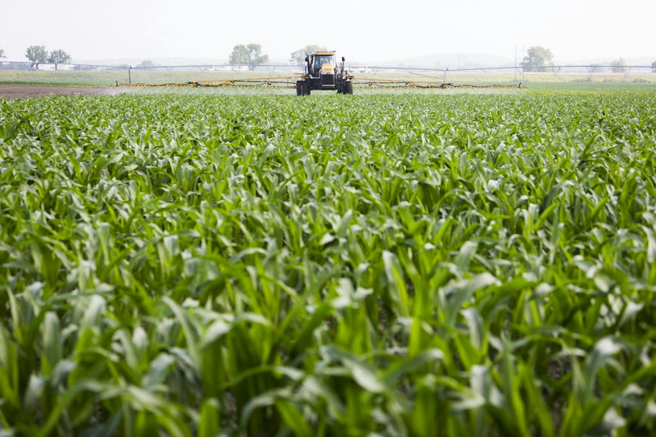 Enlist Duo is manufactured by Dow Agrosciences.