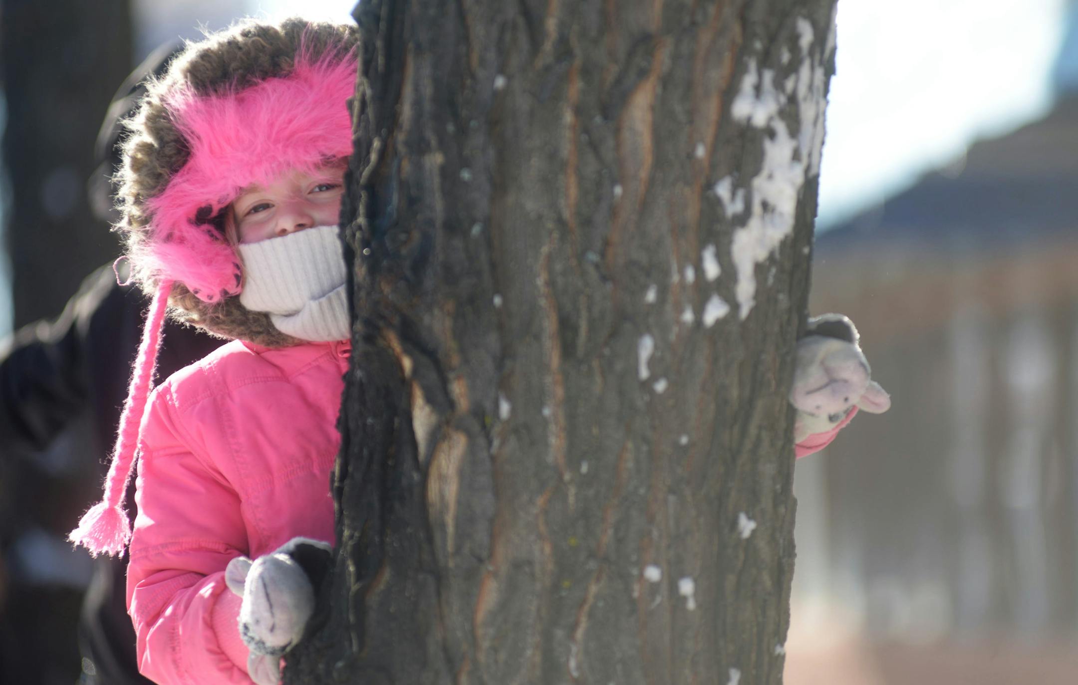 Five-year-old Anna Cotter plays in the snow before the King Boreas Grande Day Parade in St. Paul on Saturday January 25, 2014. ] (AMANDA SNYDER/ Special to the Star Tribune)