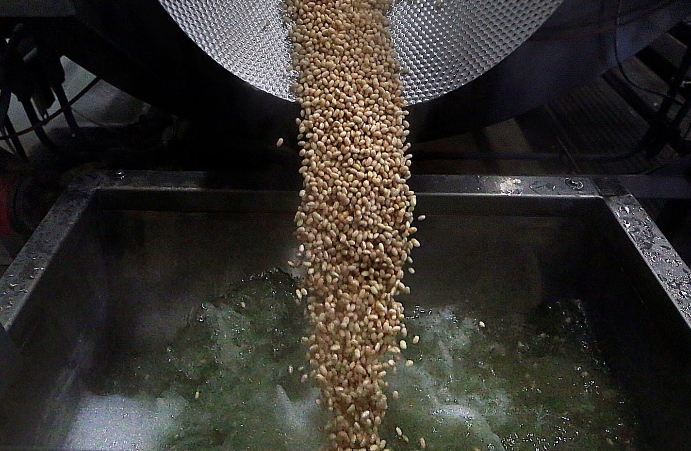 Navy beans are rehydrated and balanced as part of the canning process.