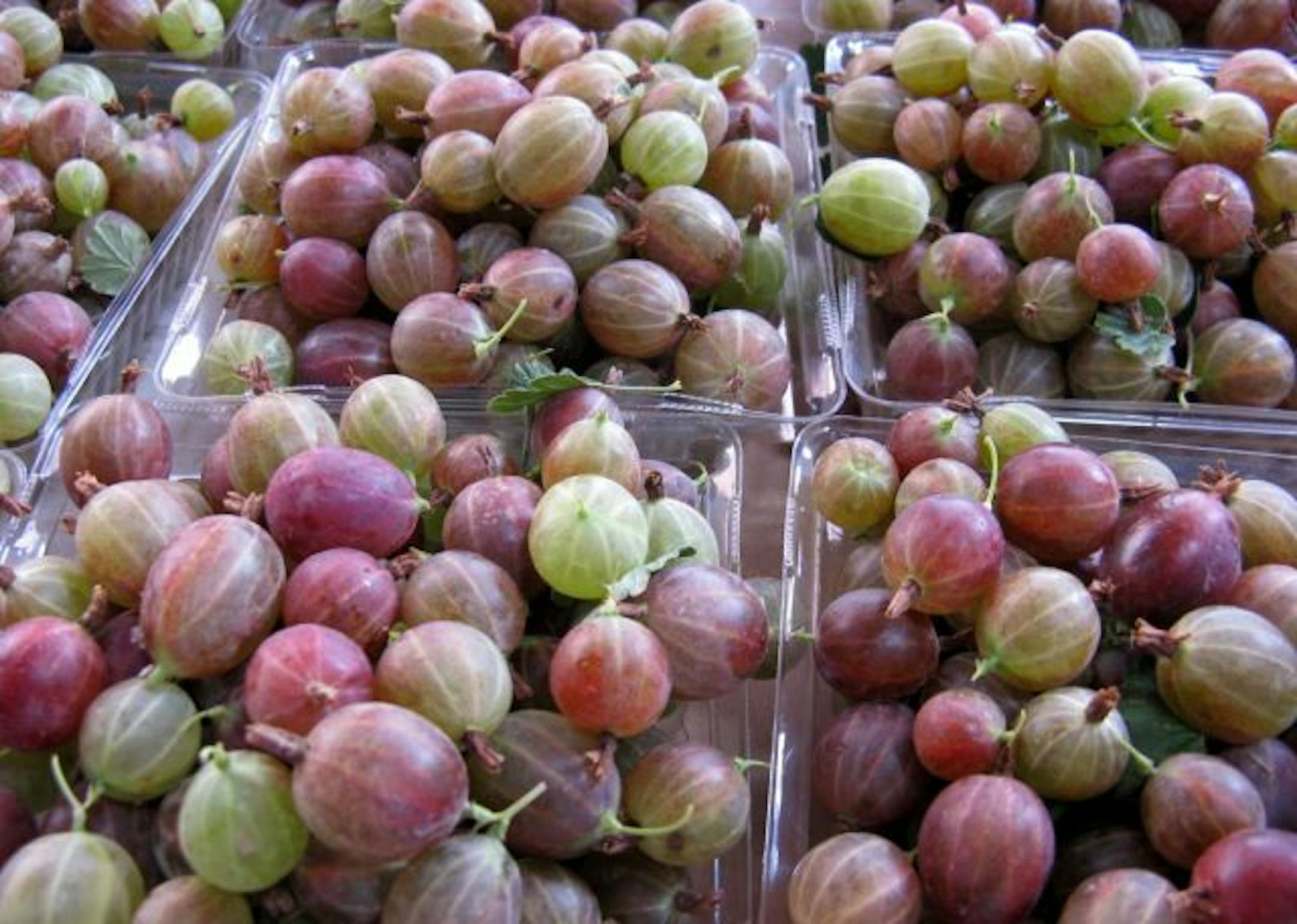 Carol Biermeier was selling gooseberries at the St. Paul Farmers Market