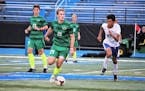 Edina senior attacker Raphael Cattelin purged nearly a season's worth of frustration, caused by an injury, in the Hornets' final five regular-season g