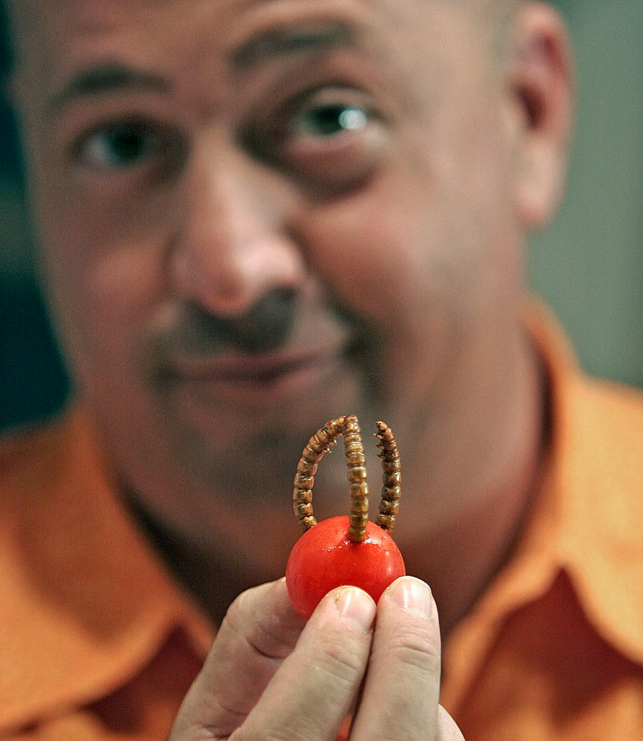 Andrew Zimmern shows off a meelworm spiked cherry tomato while filming for his new Travel Channel show Bizarre Foods at Gene Rurka's farm in New Jersey.