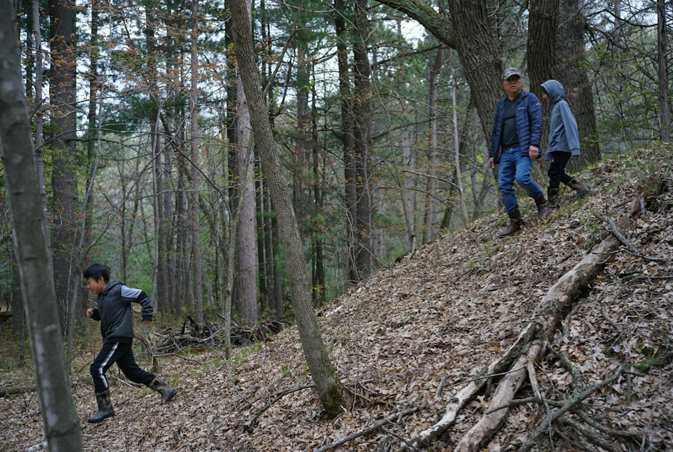 Joined by his boys, Neng Xiong searched for wild edibles in a county park near Wyoming, Minn.