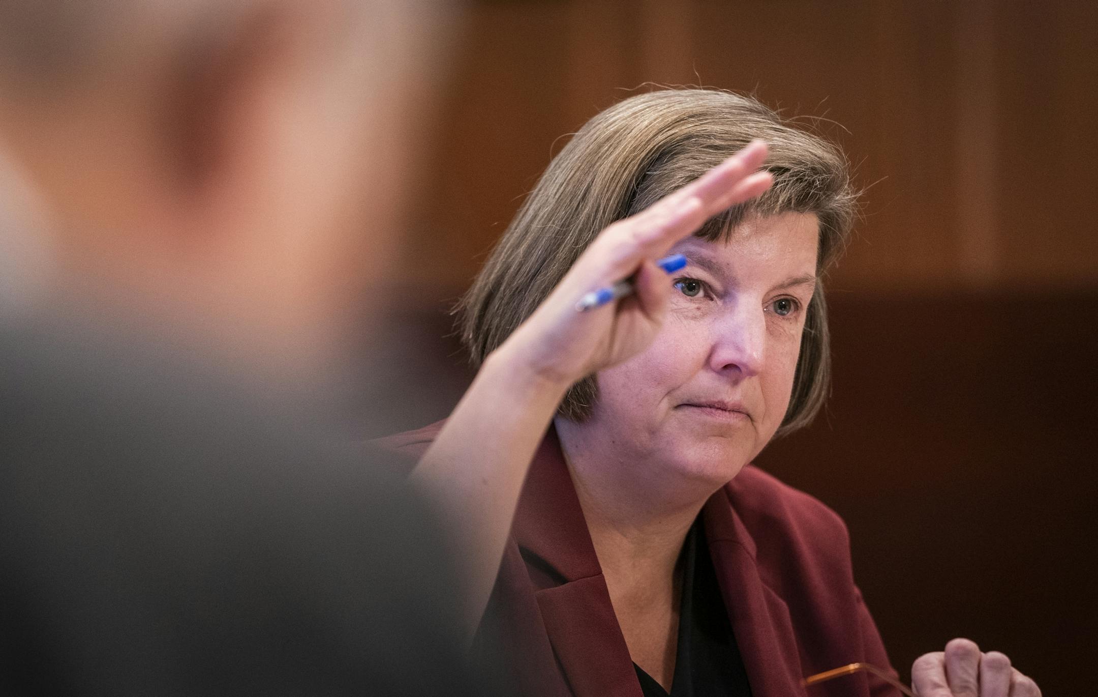 Commission chair Kelly Lyn Mitchell spoke during a meeting of the Minnesota Sentencing Guidelines Commission.
