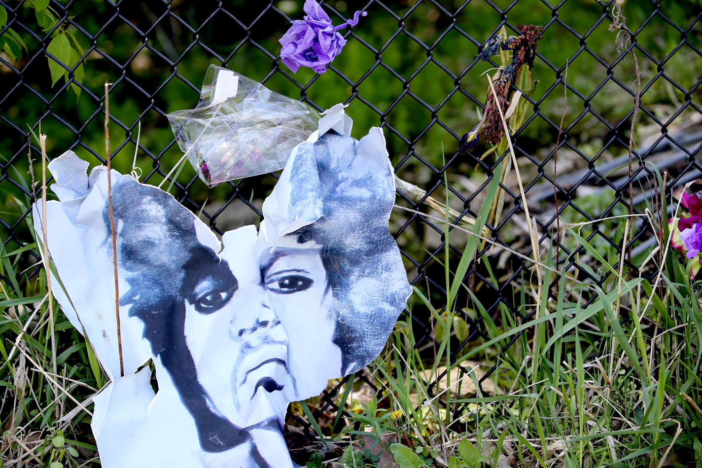 A weathered, torn portrait of Prince sits along the fence, outside Paisley Park on May 14, 2016.