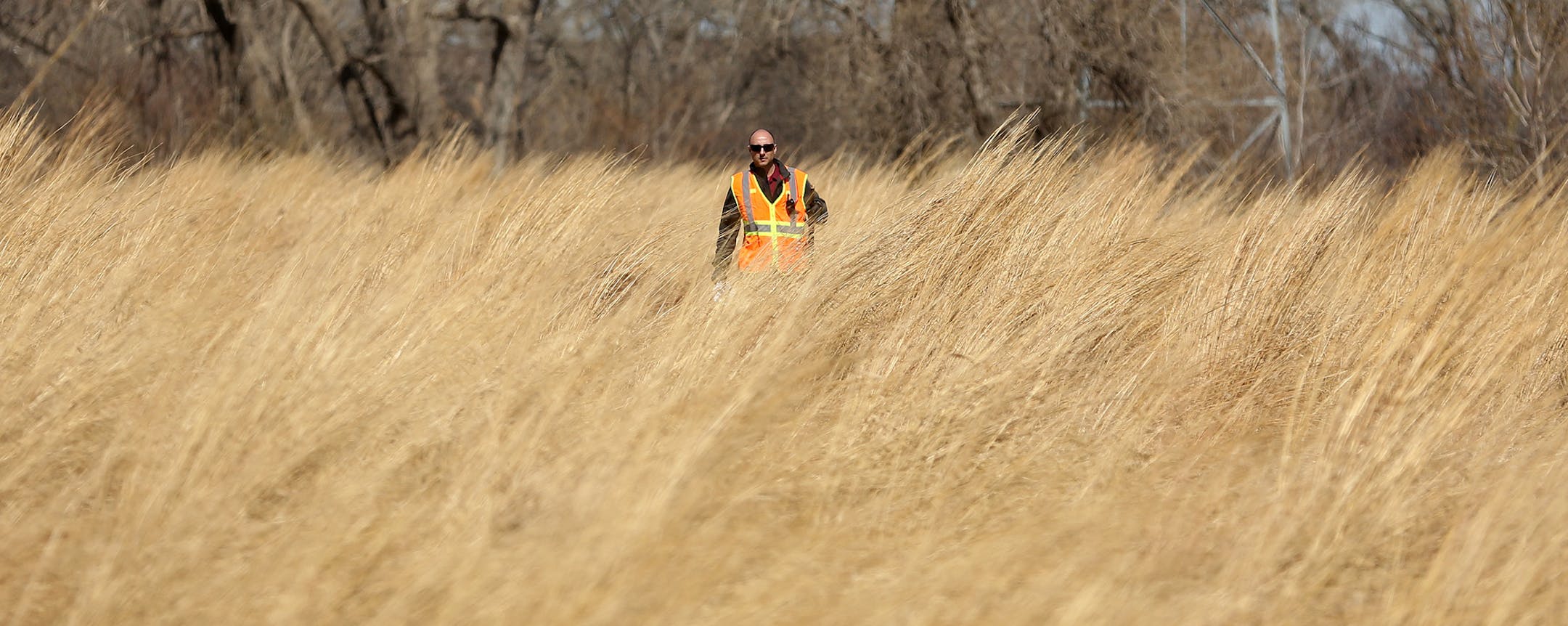 Derick Hillerud, of New Brighton, walked in the tall grass as he and other volunteers searched for Barway Collins. ] (KYNDELL HARKNESS/STAR TRIBUNE) kyndell.harkness@startribune.com Citizen-organized search for missing Crystal 10-year-old, Barway Collins at North Mississippi Regional Park in Minneapolis Min., Thursday, April 2, 2014.