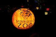 The Minnesota Zoo hosts the Jack-O-Lantern Spectacular each year with intricately carved pumpkins.