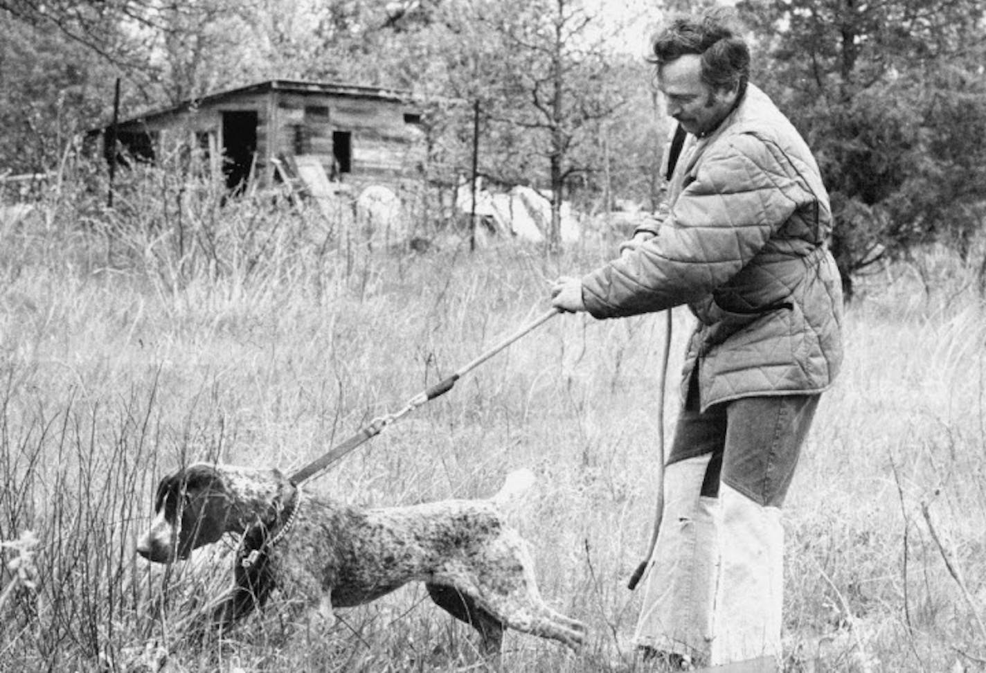 In this 1974 photo, Chuck Delaney worked with a young pointing dog at Armstrong Ranch Kennels. ORG XMIT: MIN2016081119134660