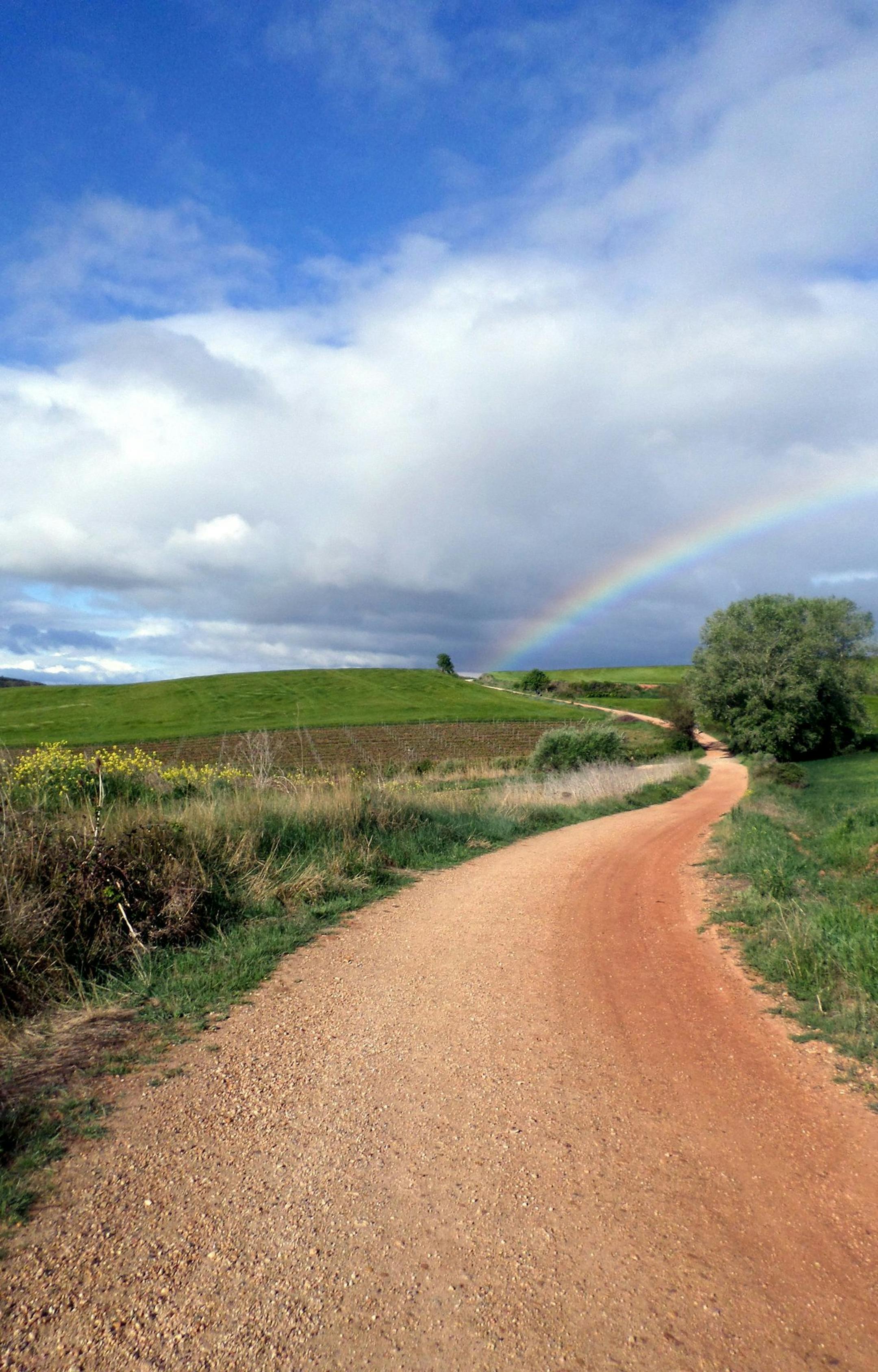 A rainbow beckons down the path of the Alto de Perdon (Mount of Forgiveness) along the Camino de Santiago in Spain. The popularity of walking “the Way,” as the 500-mile trail is called, has soared in recent years.