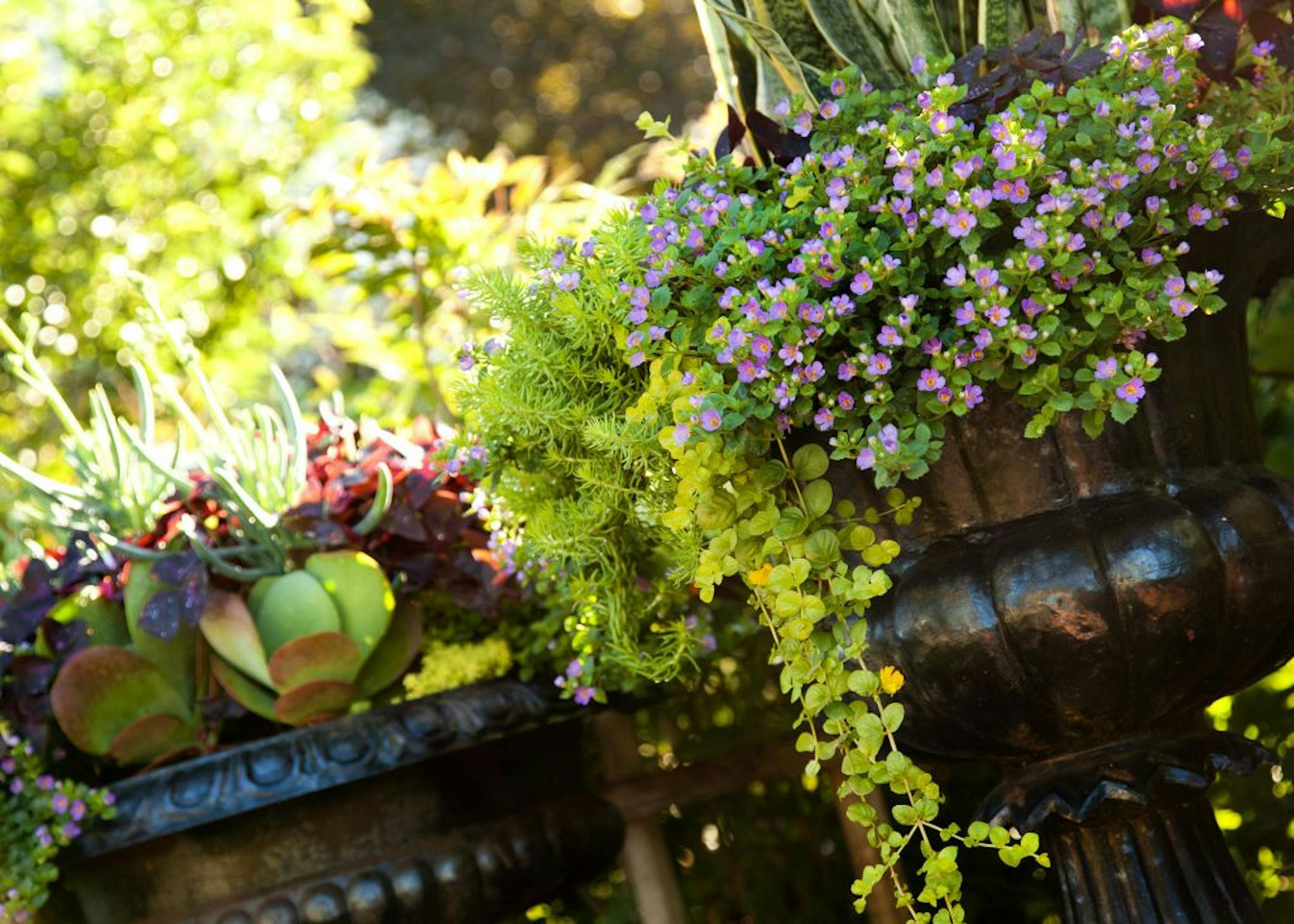 Tom DeGree and Dean Schlaak's garden will be on the Family Means Tour.
credit: Aimee Christenson