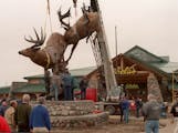 Cabelas super storte in Owatonna Mn -- cabe2.17868 - exterior of Cabela�s - during the installation an 8 ton bronze sculpture of two whitetail bucks