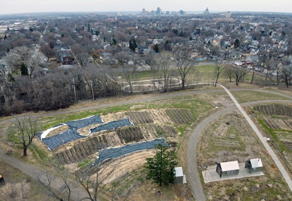 A 5-acre urban farm atop a hill in St. Paul's Frogtown will go fallow this year, another piece of community life postponed by COVID-19. St. Paul's Fro