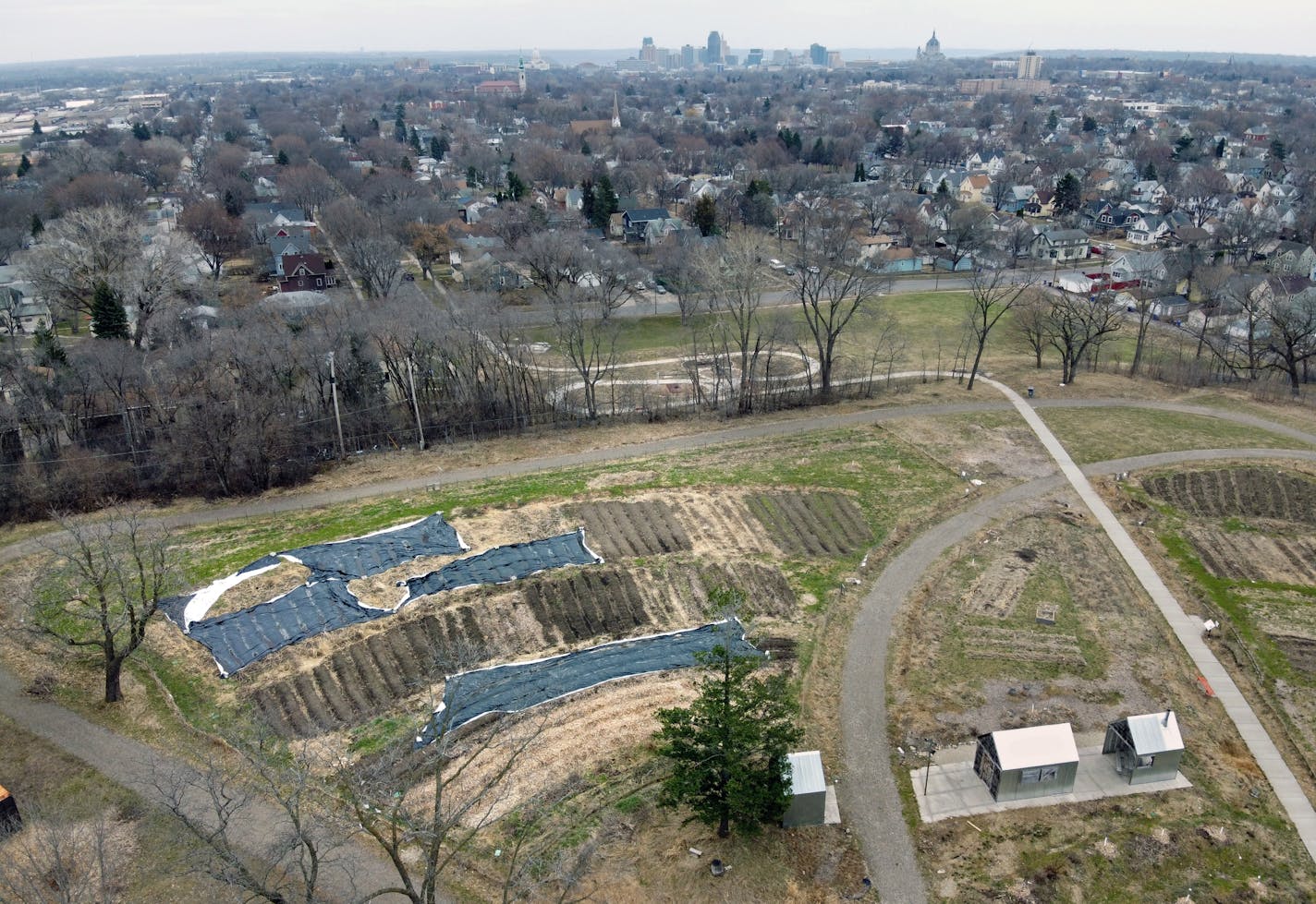 A 5-acre urban farm atop a hill in St. Paul's Frogtown will go fallow this year, another piece of community life postponed by COVID-19. St. Paul's Frogtown Farm has suspended planting for the 2020 growing season. Given that it has supplied more than 10,000 pounds of fresh produce to the area's poorest families over the past two years, the decision hits the surrounding neighborhood hard.] brian.peterson@startribune.com
St. Paul, MN Monday, April 6, 2020