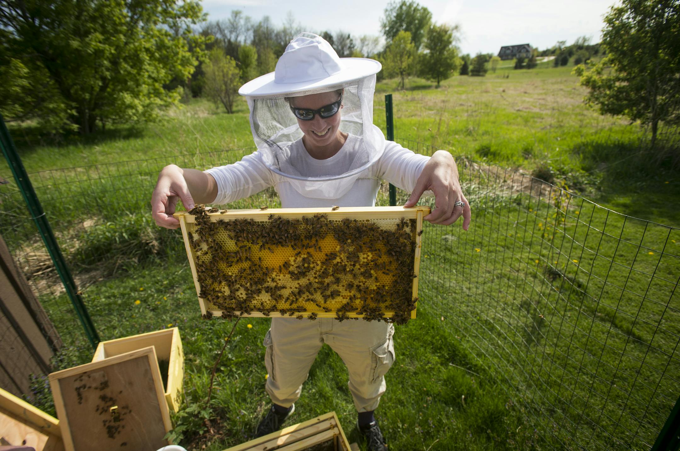 Molly Foss lifted a frame from one of her and her husband's hives to check on the health and progress of her bees on Wednesday afternoon. ] Aaron Lavinsky • aaron.lavinsky@startribune.com Ordinances for beekeeping in Brooklyn Park and Edina have changed. Cole and Molly Foss have pushed Brooklyn Park to change their ordinance so they could house their honeybees in their own backyard. He currently has his honeybees in Corcoran. Cole and Molly Foss were photographed tending to their hives on