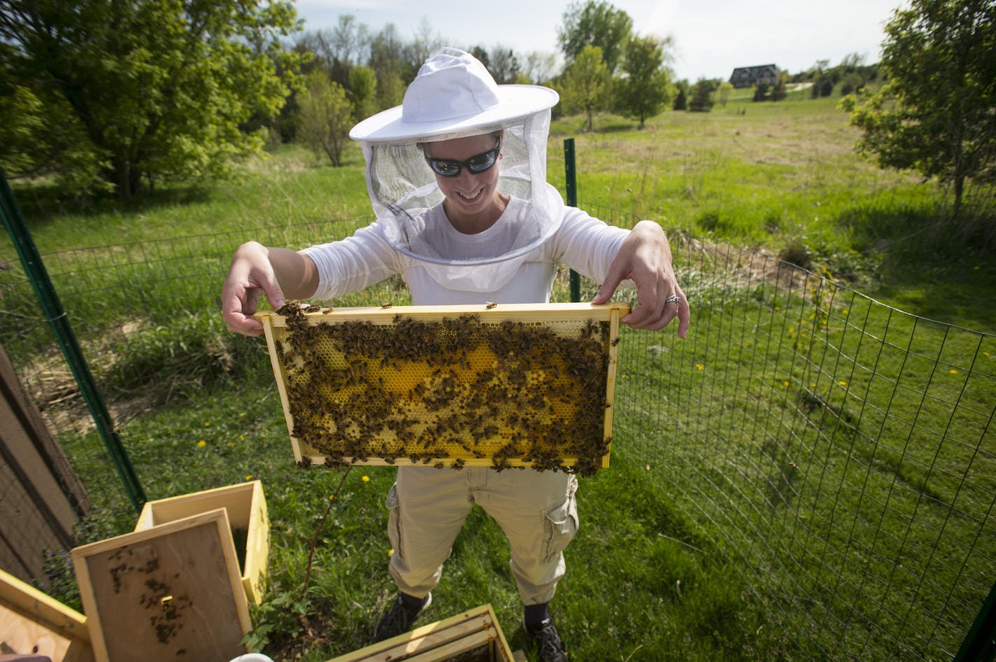 Molly Foss lifted a frame from one of her and her husband's hives to check on the health and progress of her bees on Wednesday afternoon. ] Aaron Lavinsky &#x2022; aaron.lavinsky@startribune.com Ordinances for beekeeping in Brooklyn Park and Edina have changed. Cole and Molly Foss have pushed Brooklyn Park to change their ordinance so they could house their honeybees in their own backyard. He currently has his honeybees in Corcoran. Cole and Molly Foss were photographed tending to their hives on