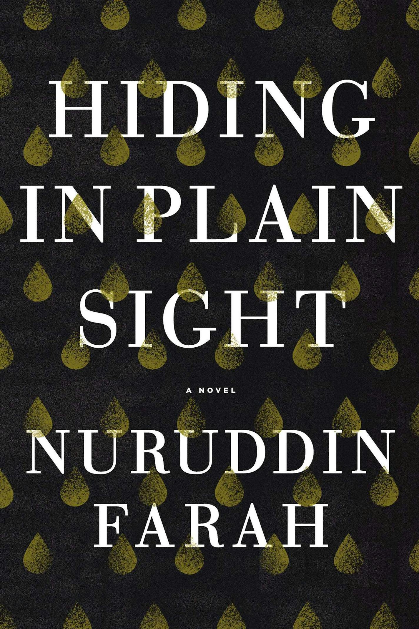 "Hiding in Plain Sight," by Nuruddin Farah