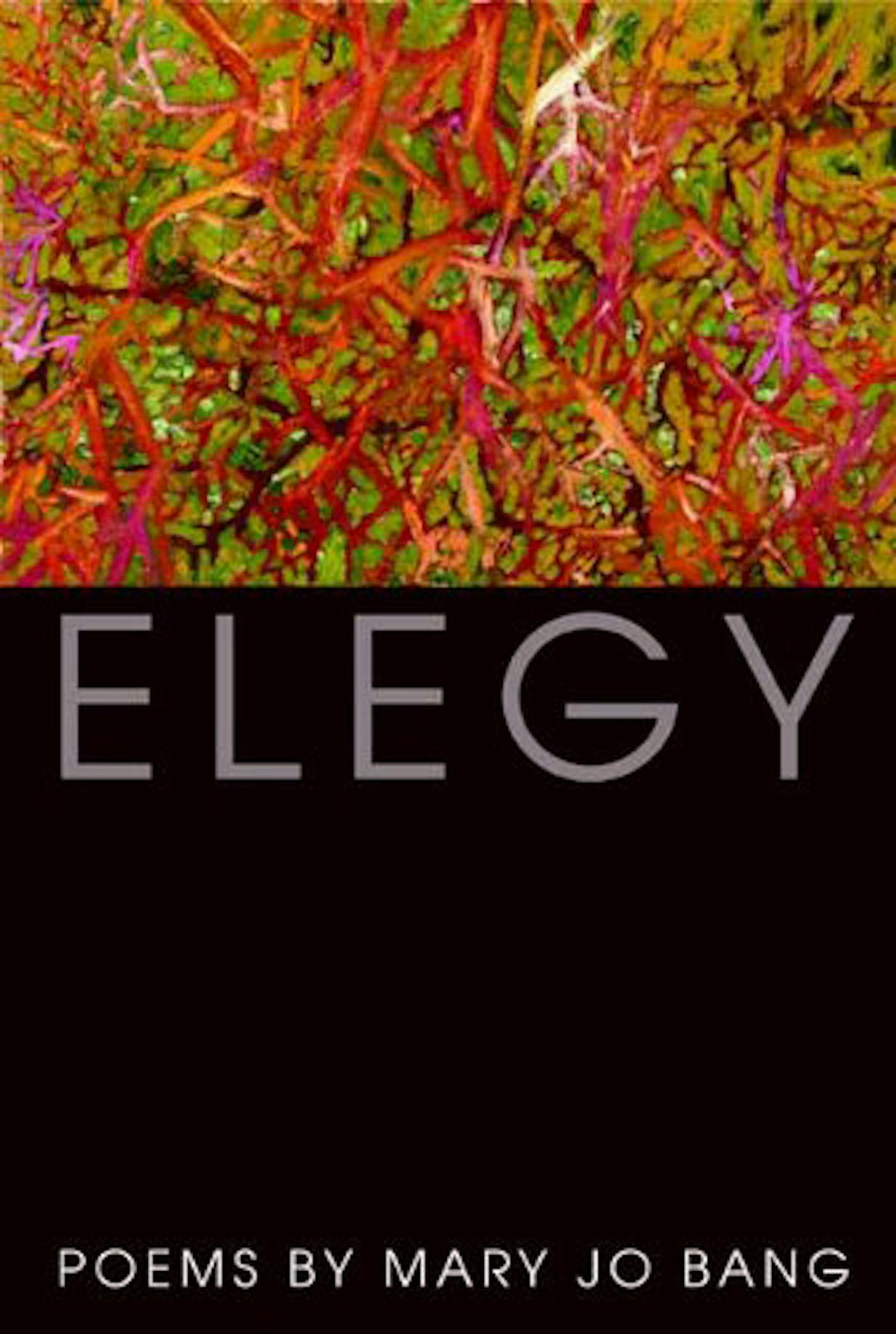 Book jacket: "Elegy" by Mary Jo Bang