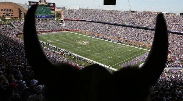 Fans cheer during a Minnesota Vikings game earlier at TCF Bank Stadium.