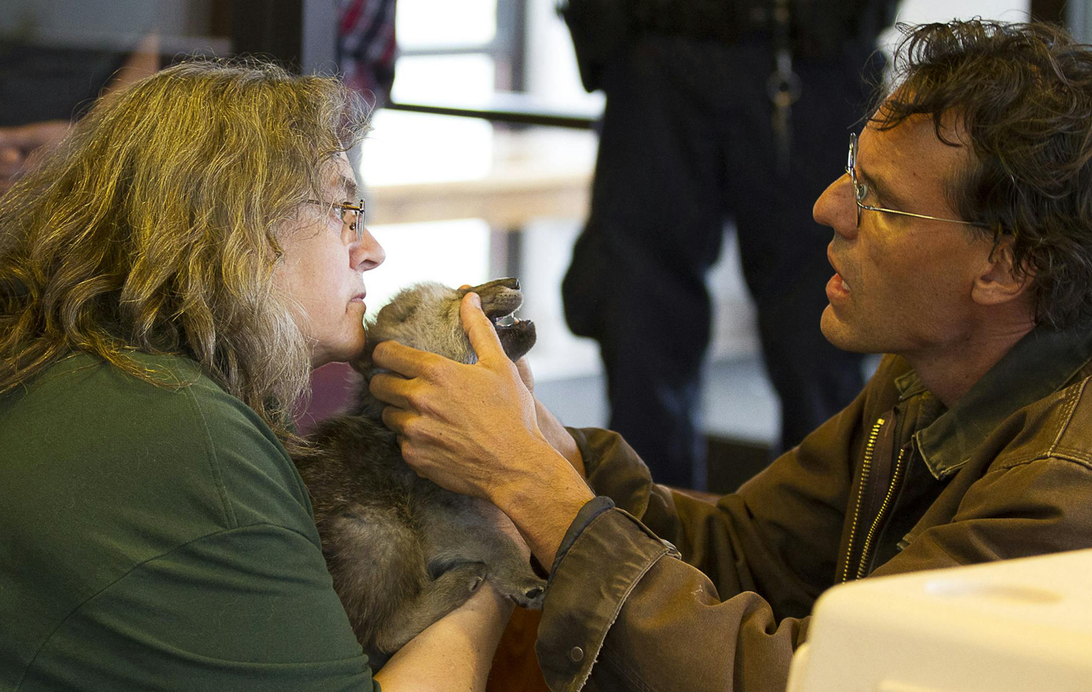 CORRECTED CAPTION (spelling of Hanson) No sooner had the pups arrived at the Ely airport, than veterinarian Dr. Chip Hanson (right) and wolf curator Lori Schmidt give the pups a medical inspection before they proceed to their new home at the International Wolf Center.