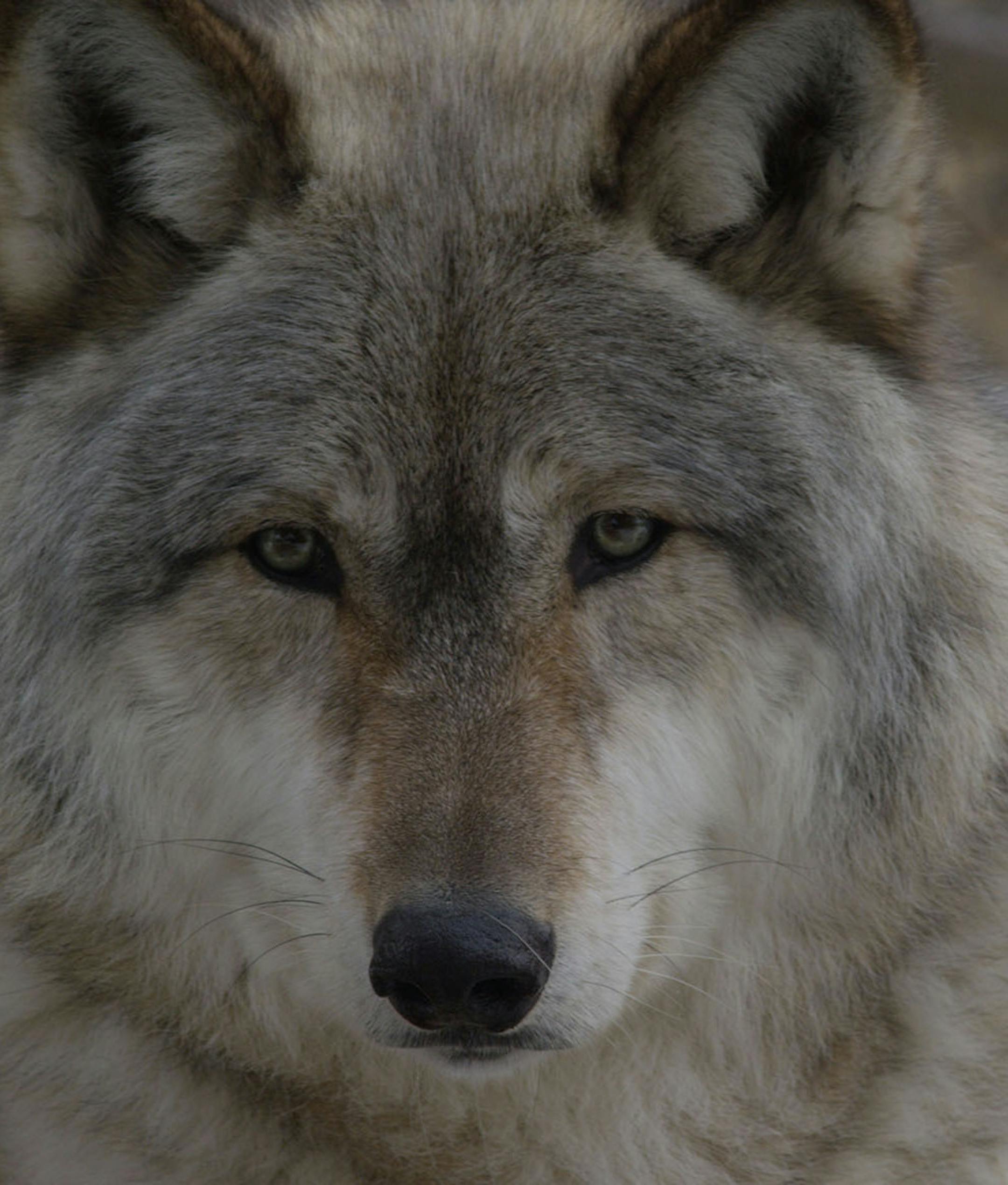 A scene from "America's Mississippi: The Headwaters" on Smithsonian Channel.
credit: Red Rock Films