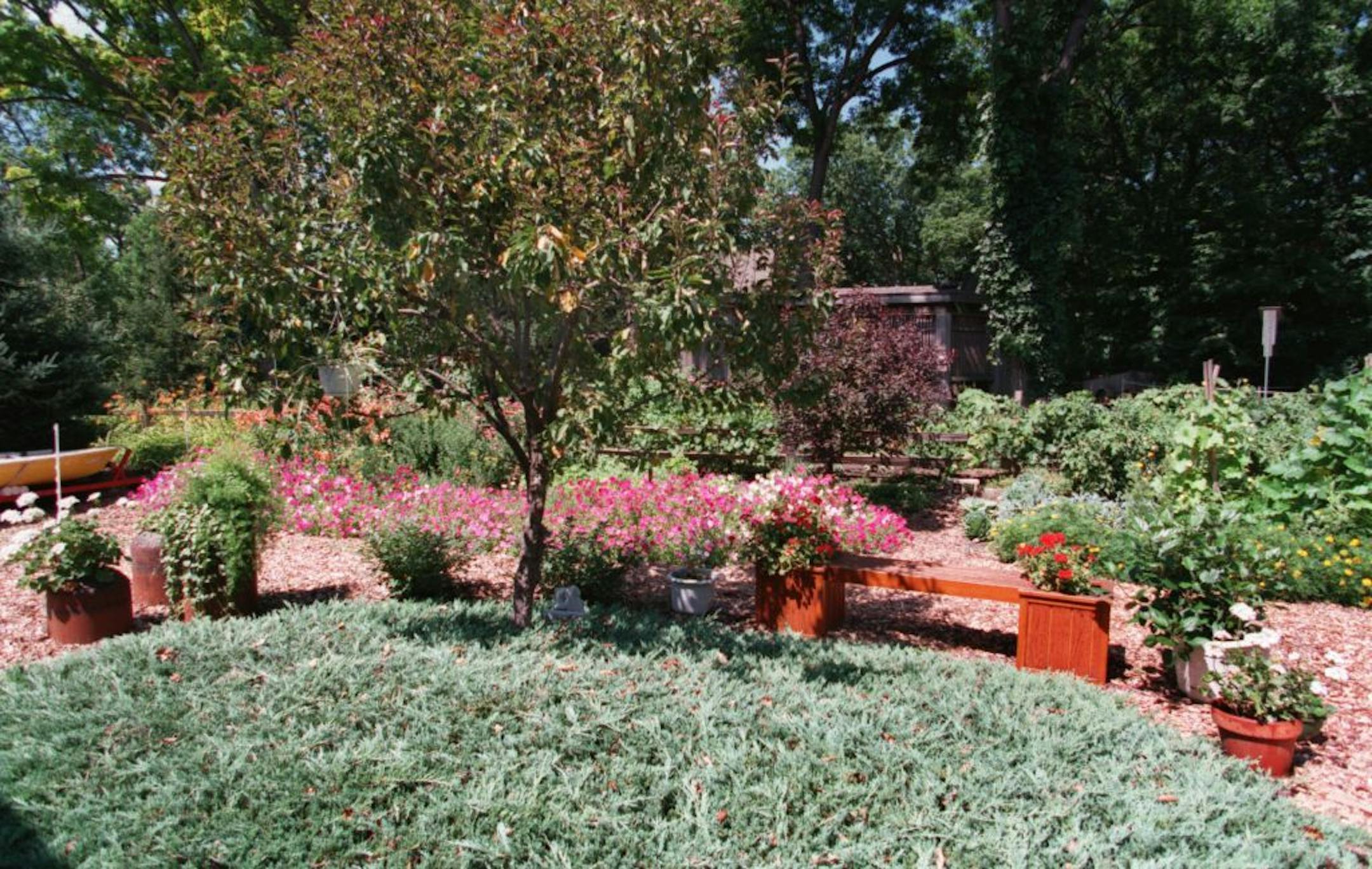 David Drum�s garden in Wayzata. -- Ground covers and walkways are common in Drum's yard. He has no grass to mow.