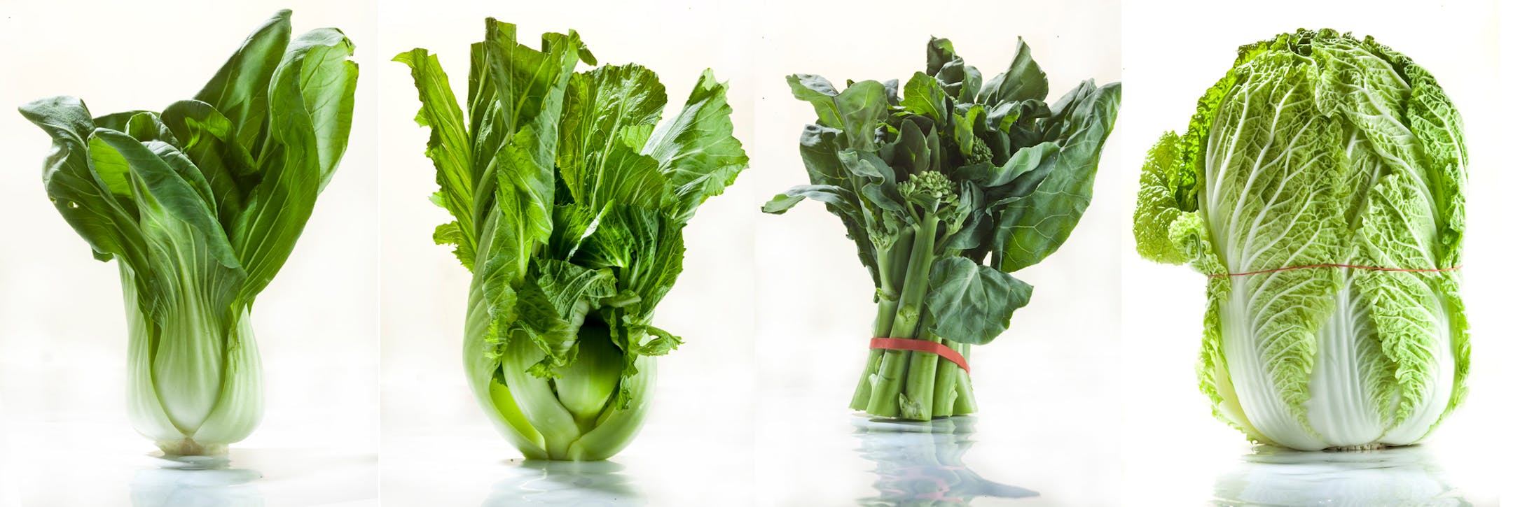 An array of greens: Bok choy, Chinese mustard cabbage, Chinese broccoli and Napa cabbage.