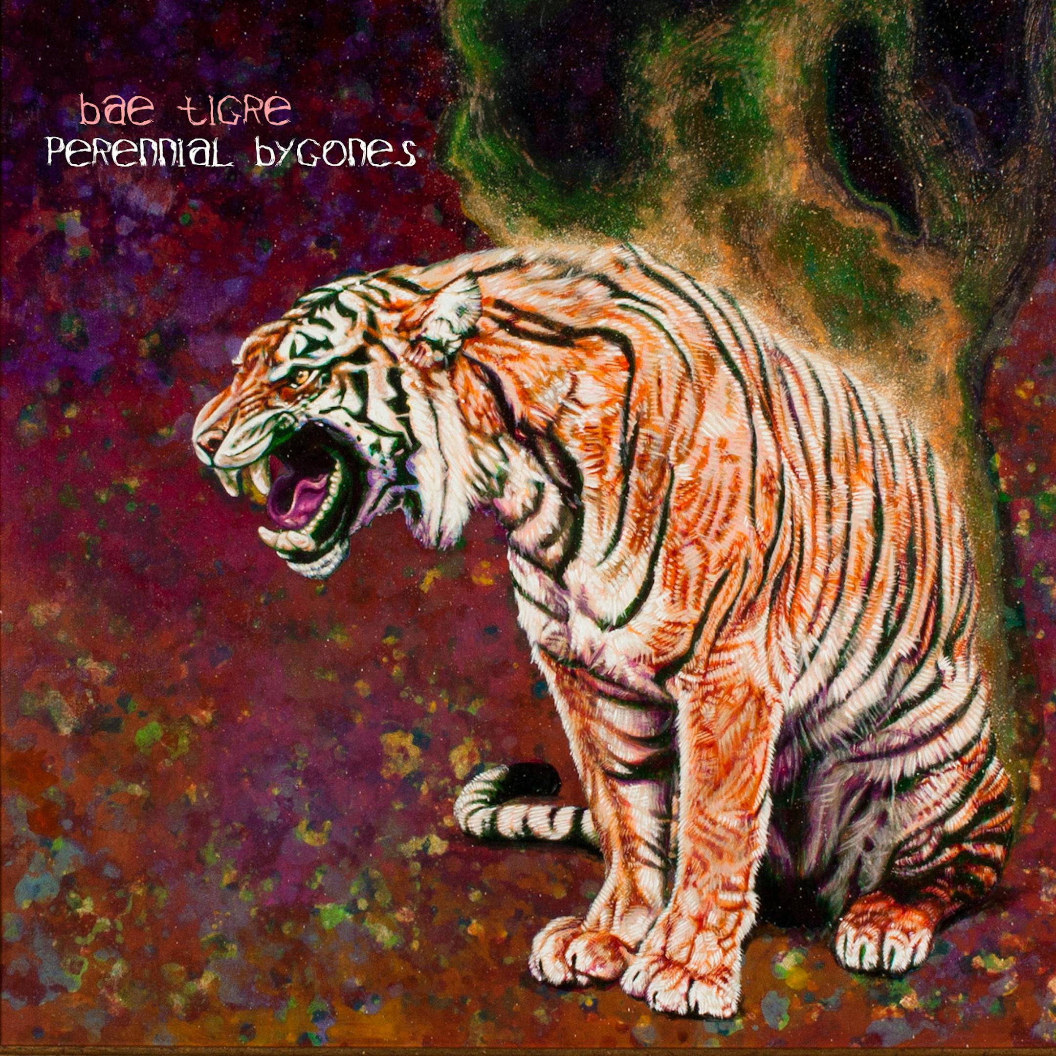 Bae Tigre's new album.