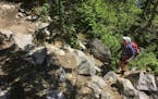 Day-13 - Melanie McManus navigates the rocks that litter the trail to Carlton Peak. Carlton Peak is one of the more challenging climbs on the SHT and 