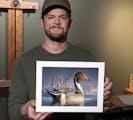 Montana artist Chuck Black, who has roots in Stillwater, is the winner of this year’s federal duck stamp design competition, with his rendering of a