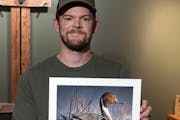 Montana artist Chuck Black, who has roots in Stillwater, is the winner of this year’s federal duck stamp design competition, with his rendering of a